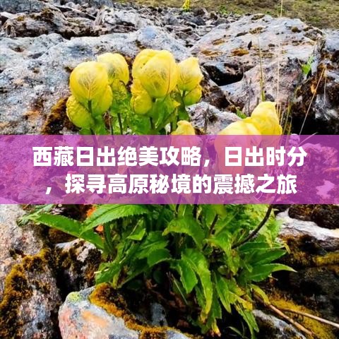 西藏日出絕美攻略，日出時(shí)分，探尋高原秘境的震撼之旅
