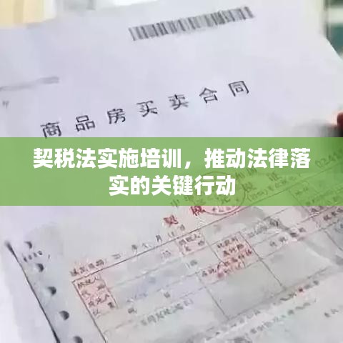 契稅法實(shí)施培訓(xùn)，推動(dòng)法律落實(shí)的關(guān)鍵行動(dòng)