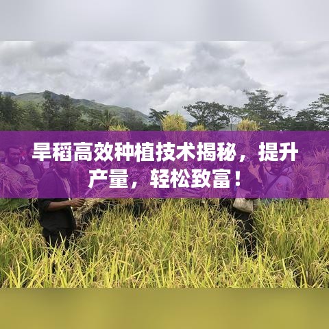 灰飛湮滅 第3頁(yè)