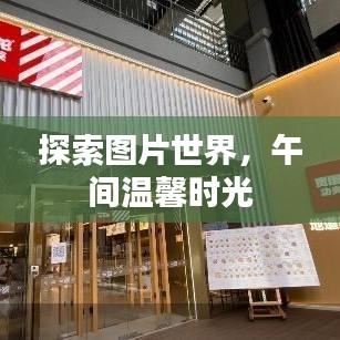 探索圖片世界，午間溫馨時光