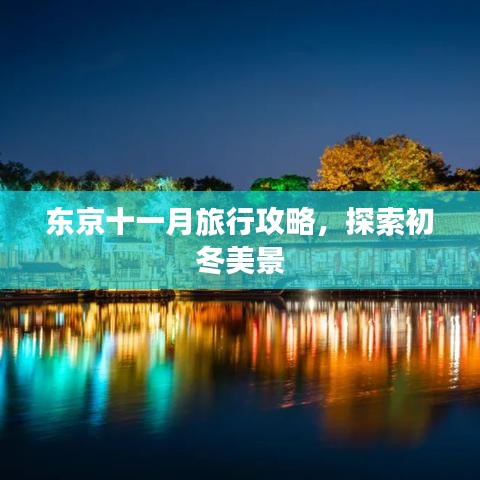 東京十一月旅行攻略，探索初冬美景
