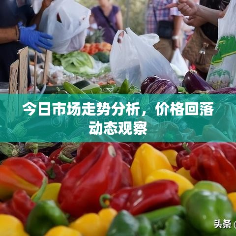 今日市場(chǎng)走勢(shì)分析，價(jià)格回落動(dòng)態(tài)觀察