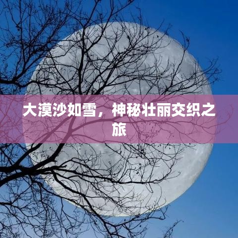 大漠沙如雪，神秘壯麗交織之旅