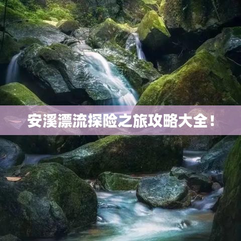 忠心耿耿 第2頁(yè)
