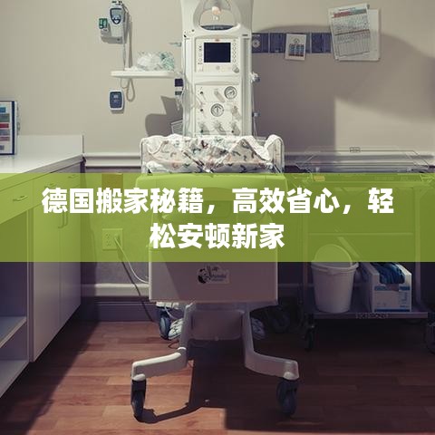 德國(guó)搬家秘籍，高效省心，輕松安頓新家