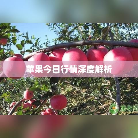自由自在 第3頁(yè)