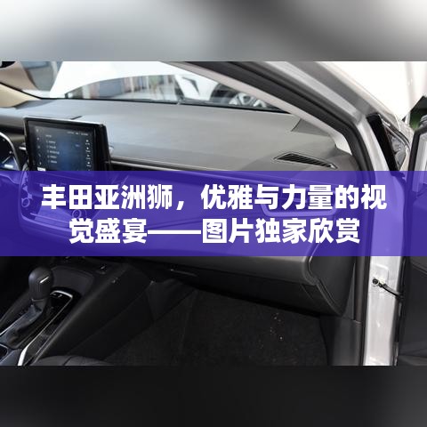 豐田亞洲獅，優(yōu)雅與力量的視覺盛宴——圖片獨家欣賞