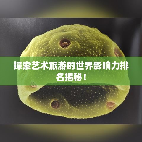 探索藝術(shù)旅游的世界影響力排名揭秘！