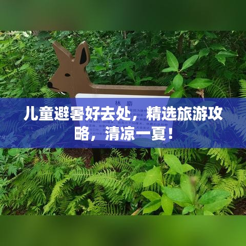 兒童避暑好去處，精選旅游攻略，清涼一夏！