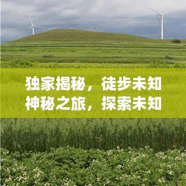 獨(dú)家揭秘，徒步未知神秘之旅，探索未知的極致體驗(yàn)