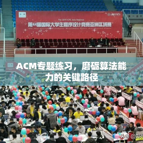 ACM專題練習，磨礪算法能力的關鍵路徑