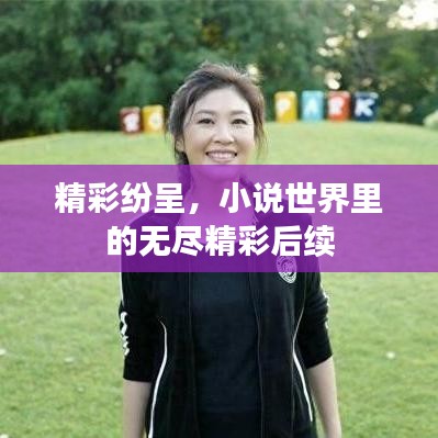 精彩紛呈，小說(shuō)世界里的無(wú)盡精彩后續(xù)