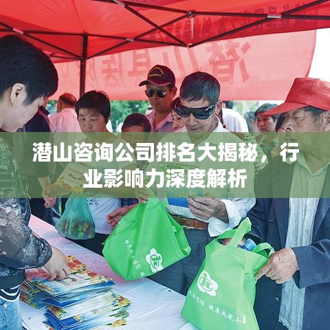 潛山咨詢公司排名大揭秘，行業(yè)影響力深度解析