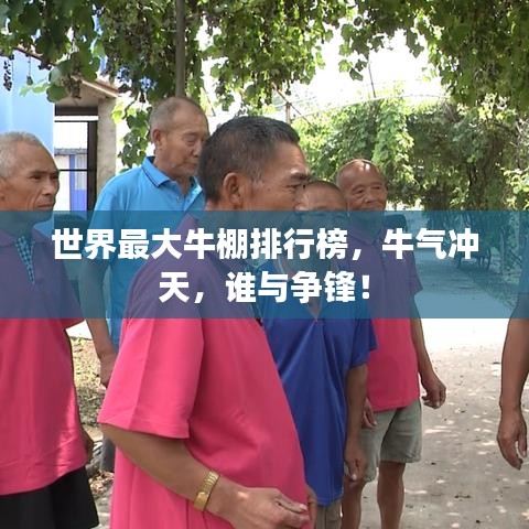 世界最大牛棚排行榜，牛氣沖天，誰與爭(zhēng)鋒！
