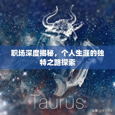 職場(chǎng)深度揭秘，個(gè)人生涯的獨(dú)特之路探索