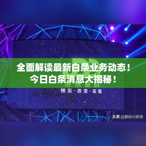 全面解讀最新白條業(yè)務(wù)動(dòng)態(tài)！今日白條消息大揭秘！