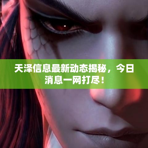 天澤信息最新動(dòng)態(tài)揭秘，今日消息一網(wǎng)打盡！