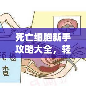 死亡細胞新手攻略大全，輕松上手游戲秘籍！