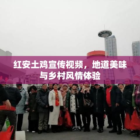 紅安土雞宣傳視頻，地道美味與鄉(xiāng)村風(fēng)情體驗(yàn)