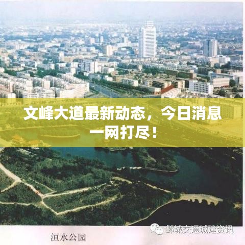 文峰大道最新動態(tài)，今日消息一網(wǎng)打盡！