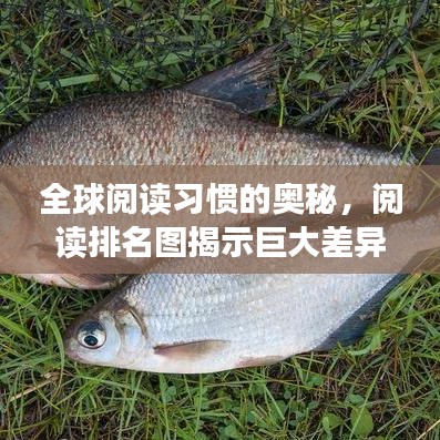 駕輕就熟 第3頁