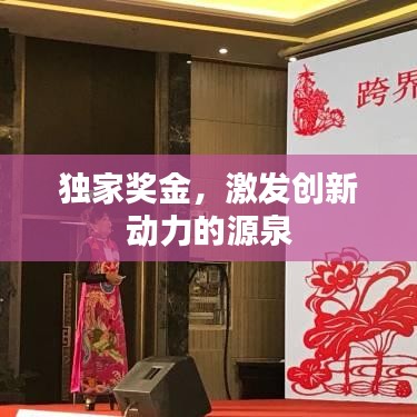 獨家獎金，激發(fā)創(chuàng)新動力的源泉