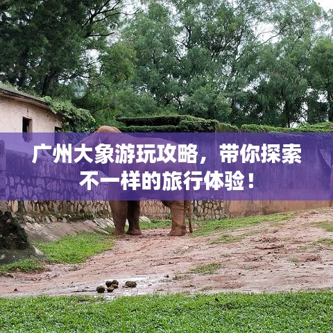 廣州大象游玩攻略，帶你探索不一樣的旅行體驗！
