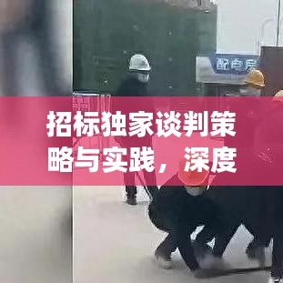 招標(biāo)獨家談判策略與實踐，深度解析談判技巧，助力成功中標(biāo)！