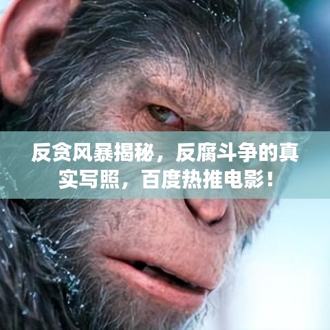 反貪風暴揭秘，反腐斗爭的真實寫照，百度熱推電影！