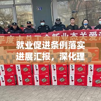 就業(yè)促進條例落實進展匯報，深化理解，積極行動