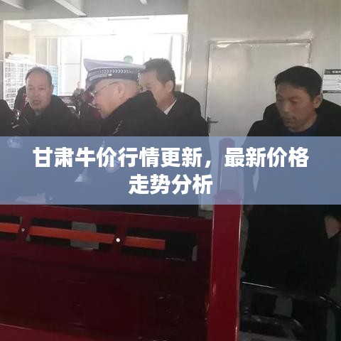甘肅牛價(jià)行情更新，最新價(jià)格走勢(shì)分析