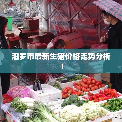 汨羅市最新生豬價格走勢分析！