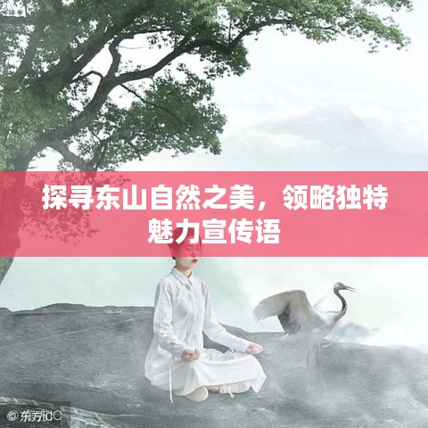 探尋東山自然之美，領(lǐng)略獨(dú)特魅力宣傳語