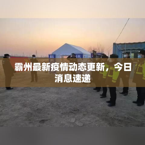 霸州最新疫情動態(tài)更新，今日消息速遞