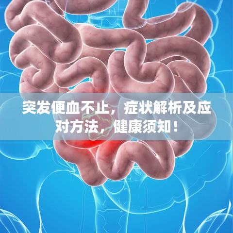 突發(fā)便血不止，癥狀解析及應(yīng)對方法，健康須知！