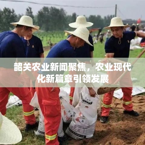 韶關(guān)農(nóng)業(yè)新聞聚焦，農(nóng)業(yè)現(xiàn)代化新篇章引領(lǐng)發(fā)展