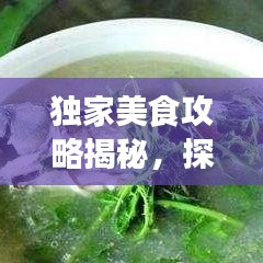 獨家美食攻略揭秘，探索味蕾盛宴的極致之旅