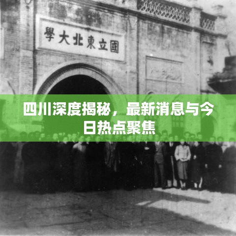 四川深度揭秘，最新消息與今日熱點(diǎn)聚焦