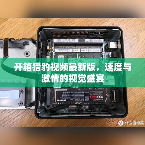 開(kāi)箱獵豹視頻最新版，速度與激情的視覺(jué)盛宴