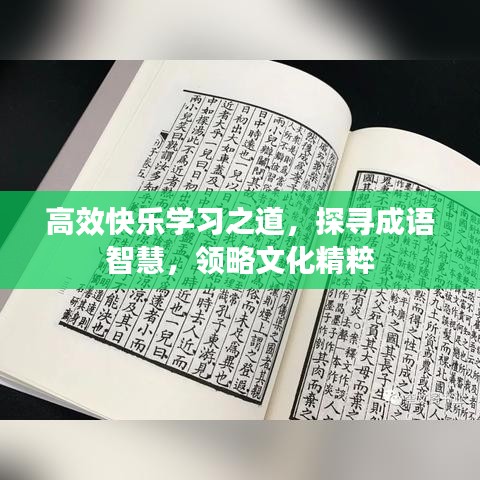 高效快樂學(xué)習(xí)之道，探尋成語智慧，領(lǐng)略文化精粹