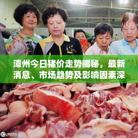 漳州今日豬價(jià)走勢(shì)揭秘，最新消息、市場(chǎng)趨勢(shì)及影響因素深度解析