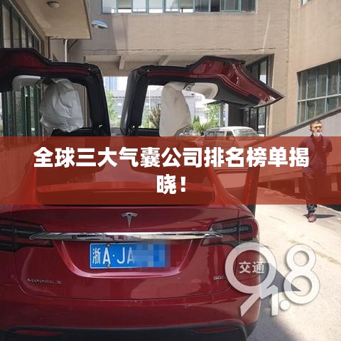 全球三大氣囊公司排名榜單揭曉！
