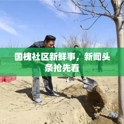 國(guó)槐社區(qū)新鮮事，新聞?lì)^條搶先看
