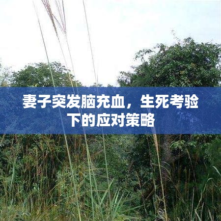 妻子突發(fā)腦充血，生死考驗(yàn)下的應(yīng)對(duì)策略