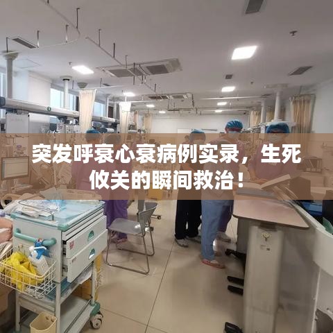 百鳥(niǎo)齊鳴 第3頁(yè)
