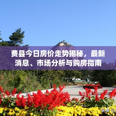 費(fèi)縣今日房?jī)r(jià)走勢(shì)揭秘，最新消息、市場(chǎng)分析與購(gòu)房指南