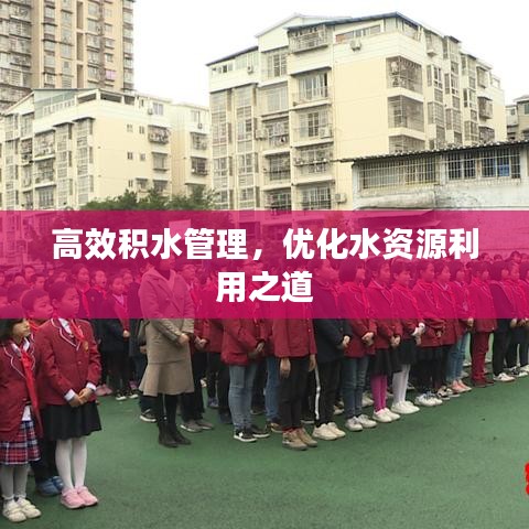 高效積水管理，優(yōu)化水資源利用之道