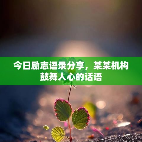 今日勵(lì)志語(yǔ)錄分享，某某機(jī)構(gòu)鼓舞人心的話(huà)語(yǔ)