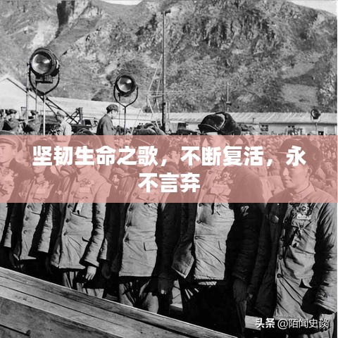 堅(jiān)韌生命之歌，不斷復(fù)活，永不言棄