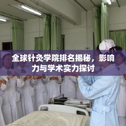 全球針灸學(xué)院排名揭秘，影響力與學(xué)術(shù)實(shí)力探討